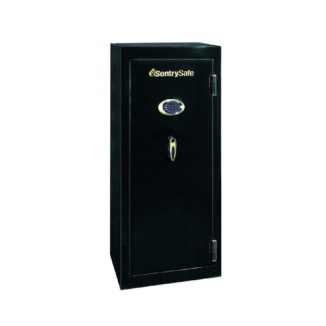 Sentry Safe-01